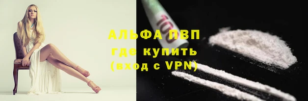 индика Покачи