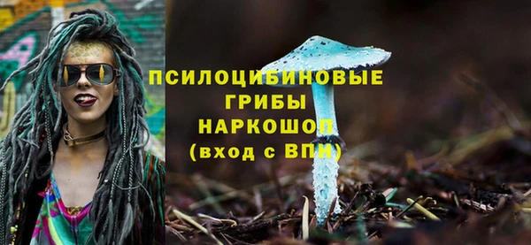 трава Абинск