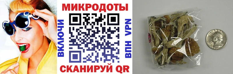Галлюциногенные грибы Psilocybine cubensis  Кириллов 